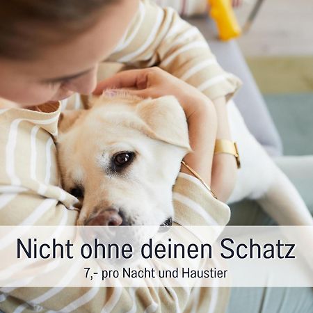 Ferienhaus Toepferhaus - Strandnah, Haustierfreundlich, Optimal Fuer Workation, Kaminofen, Garten, Fuer Paare Und Alleinreisende Steinberg  エクステリア 写真