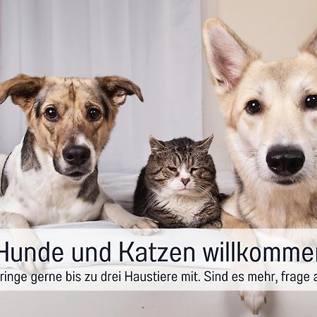 Ferienhaus Toepferhaus - Strandnah, Haustierfreundlich, Optimal Fuer Workation, Kaminofen, Garten, Fuer Paare Und Alleinreisende Steinberg  エクステリア 写真