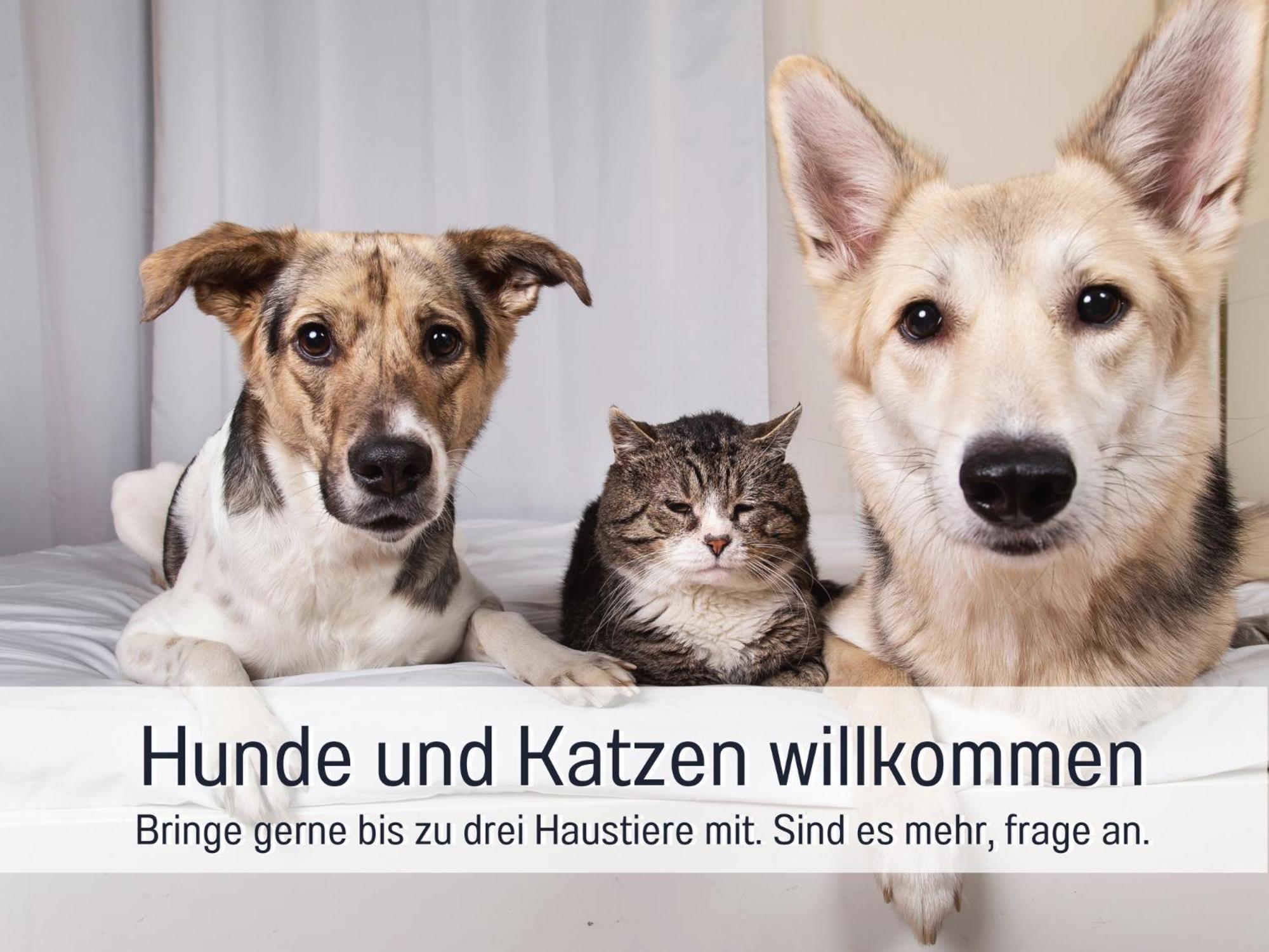 Ferienhaus Toepferhaus - Strandnah, Haustierfreundlich, Optimal Fuer Workation, Kaminofen, Garten, Fuer Paare Und Alleinreisende Steinberg  エクステリア 写真