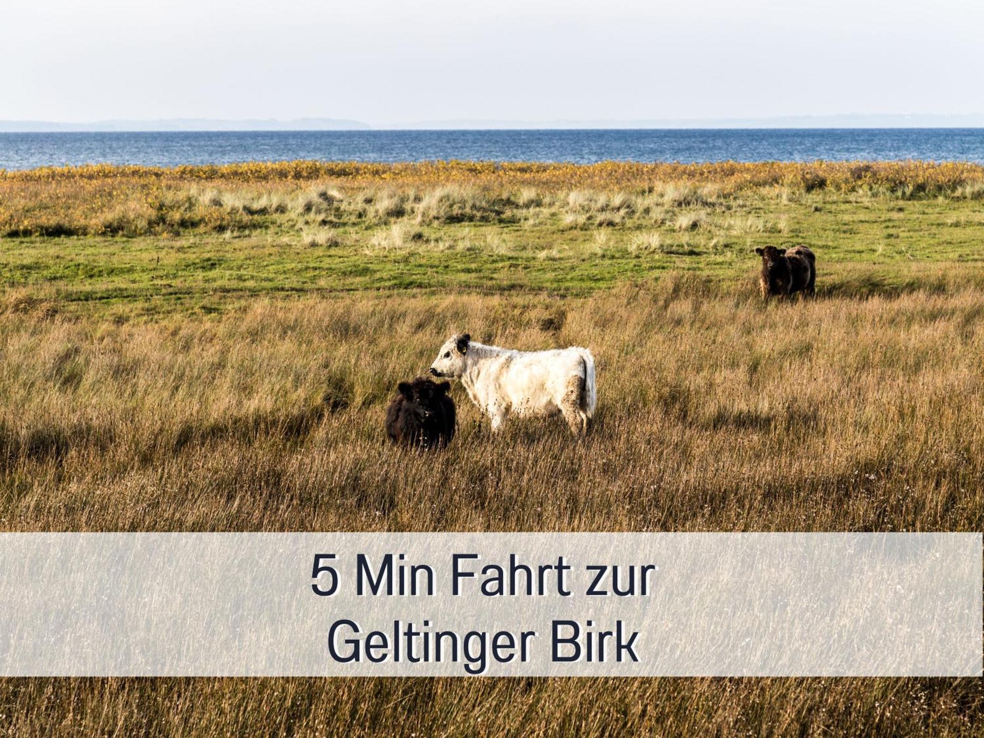 Ferienhaus Toepferhaus - Strandnah, Haustierfreundlich, Optimal Fuer Workation, Kaminofen, Garten, Fuer Paare Und Alleinreisende Steinberg  エクステリア 写真
