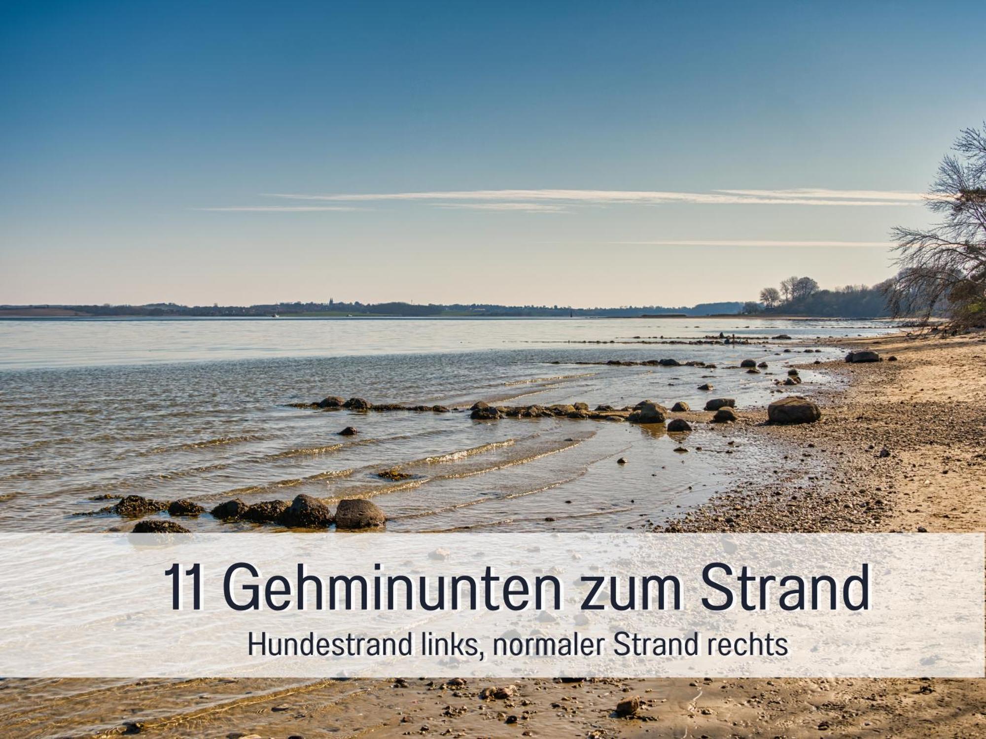 Ferienhaus Toepferhaus - Strandnah, Haustierfreundlich, Optimal Fuer Workation, Kaminofen, Garten, Fuer Paare Und Alleinreisende Steinberg  エクステリア 写真